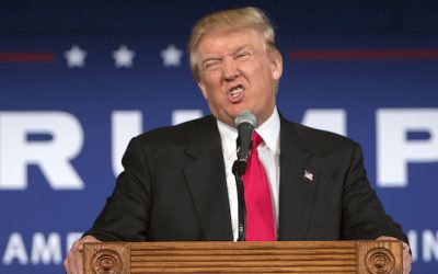 Donald Trump y la Teoría de la Liebre